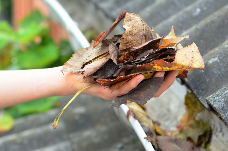 Gutter Leaf Clearing Service