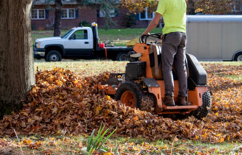 Gutter Leaf Clearing