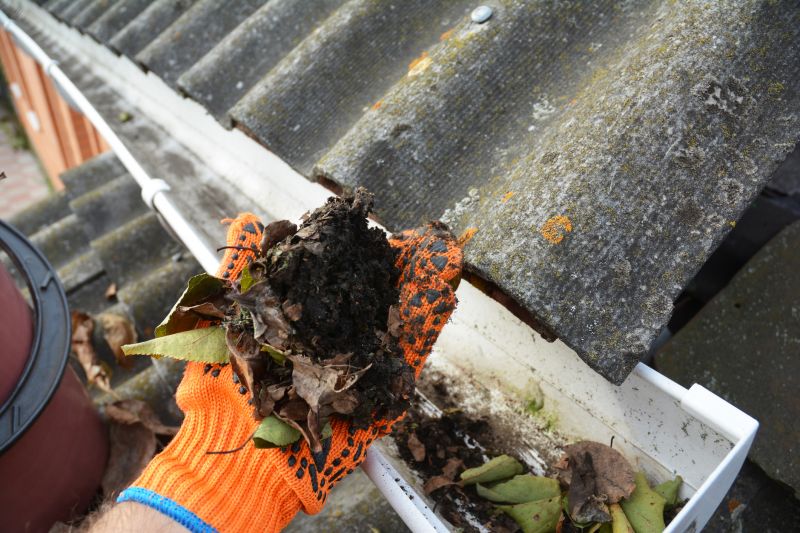 Gutter Leaf Clearing
