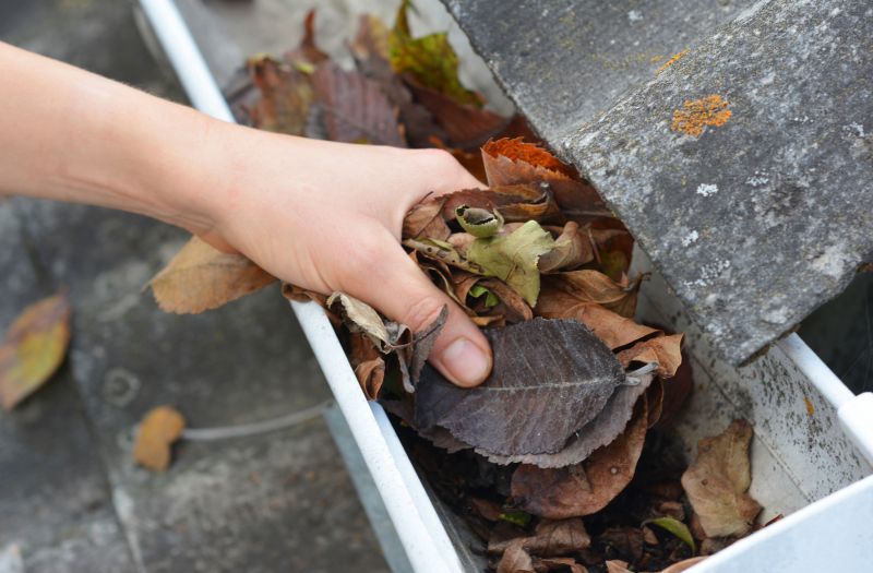 Gutter Leaf Clearing