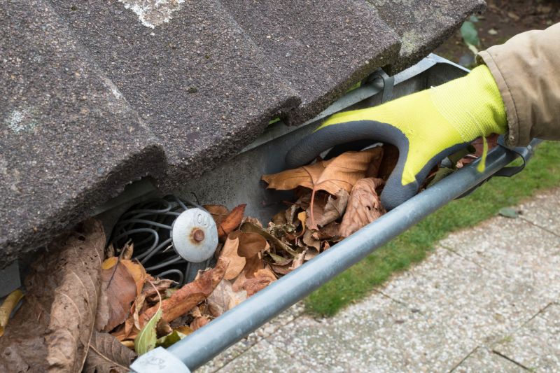 Clean Gutters with Leaf Removal