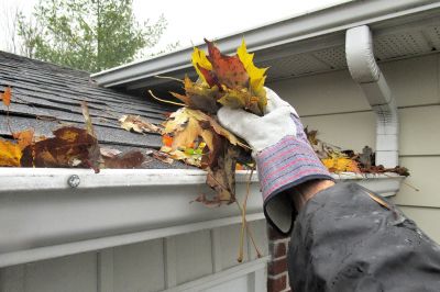 Clear Gutters in Action